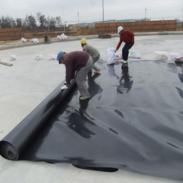 geomembrane