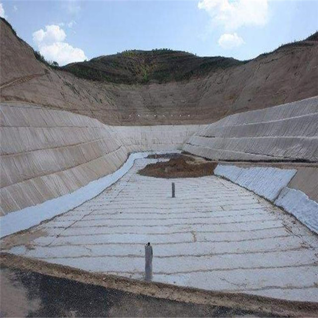 3Ddrainage network4.jpg 3Ddrainage network4.jpg